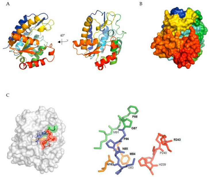 Figure 5