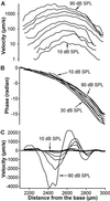 Fig 1.