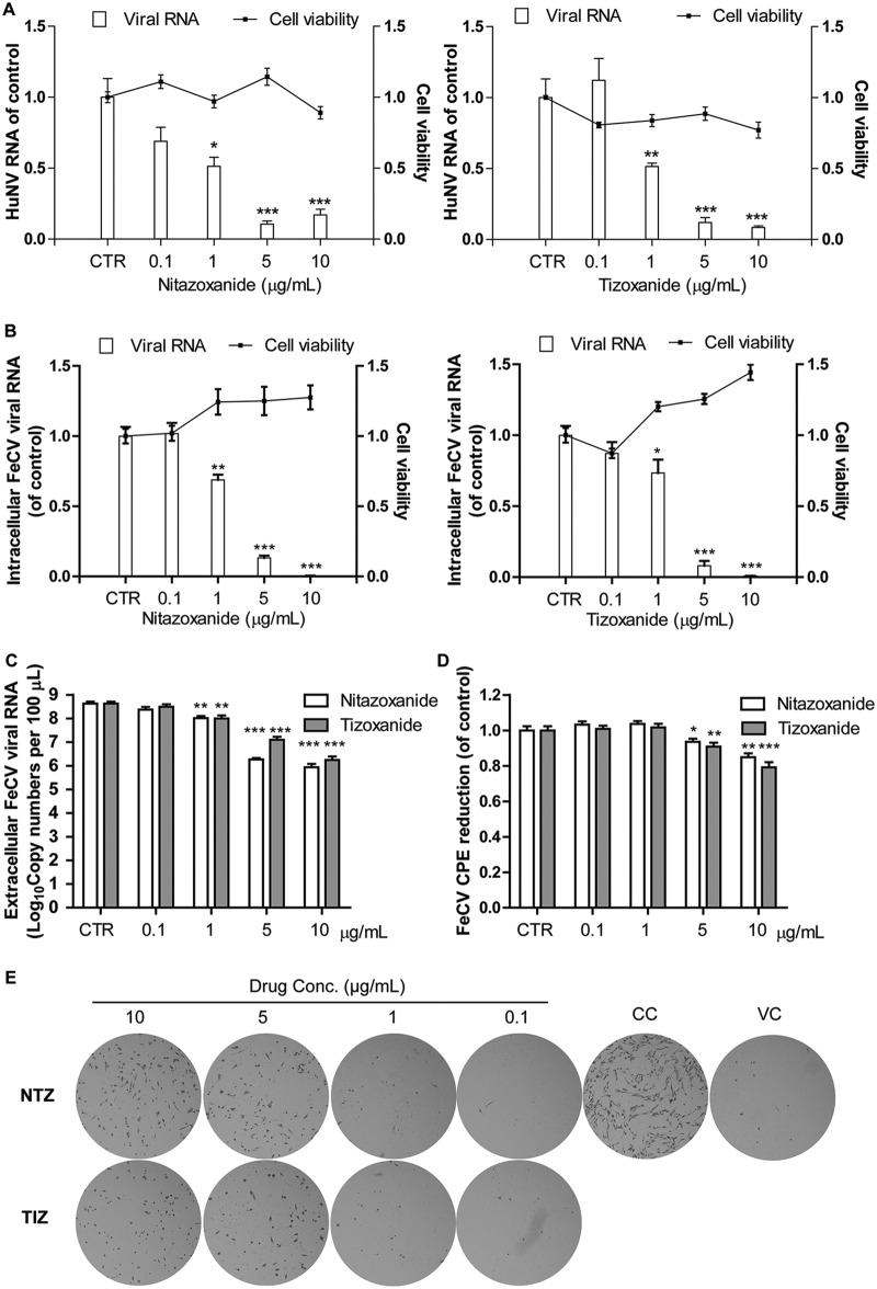 FIG 1