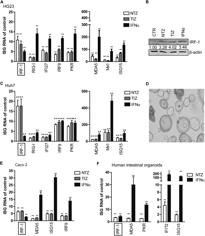 FIG 2