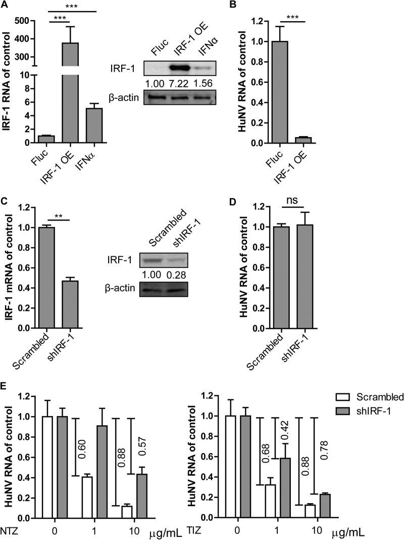 FIG 3