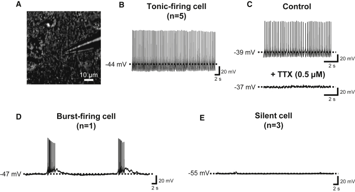 Figure 5