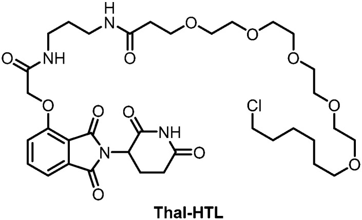 Fig. 18