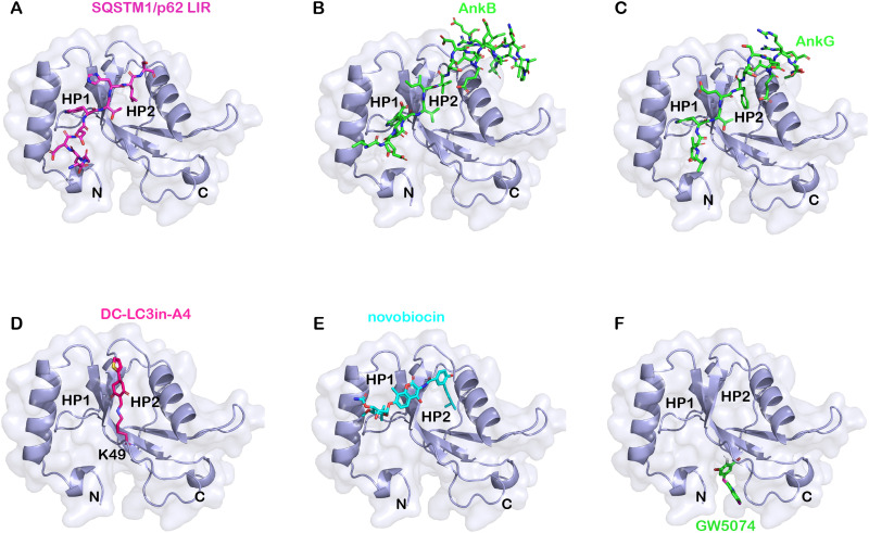 Fig. 4