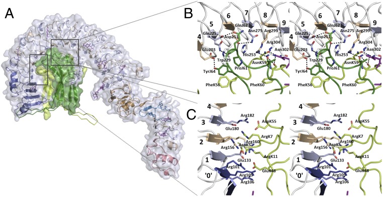 Fig. 2.