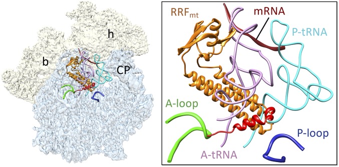 Fig. 2.