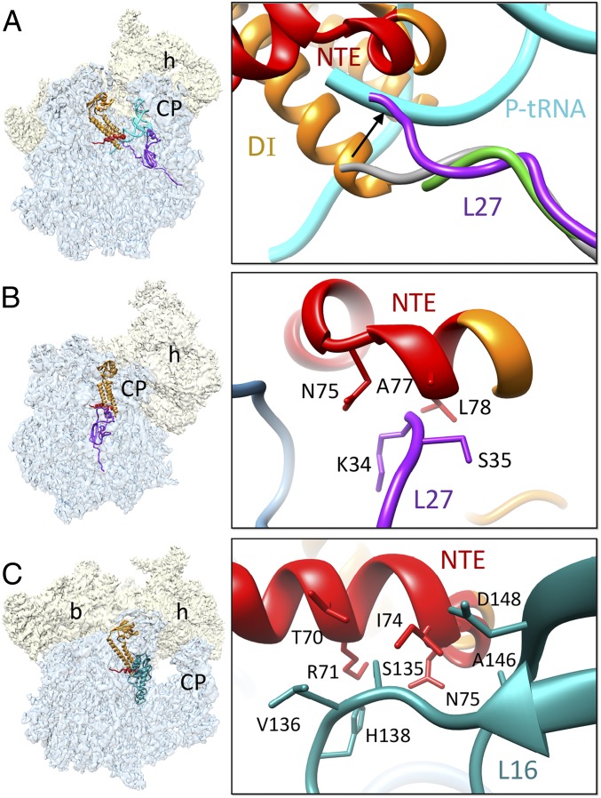 Fig. 4.