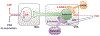 Figure 6: