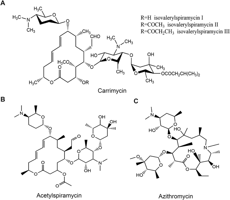 Fig. 1