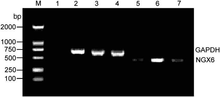 Figure 1