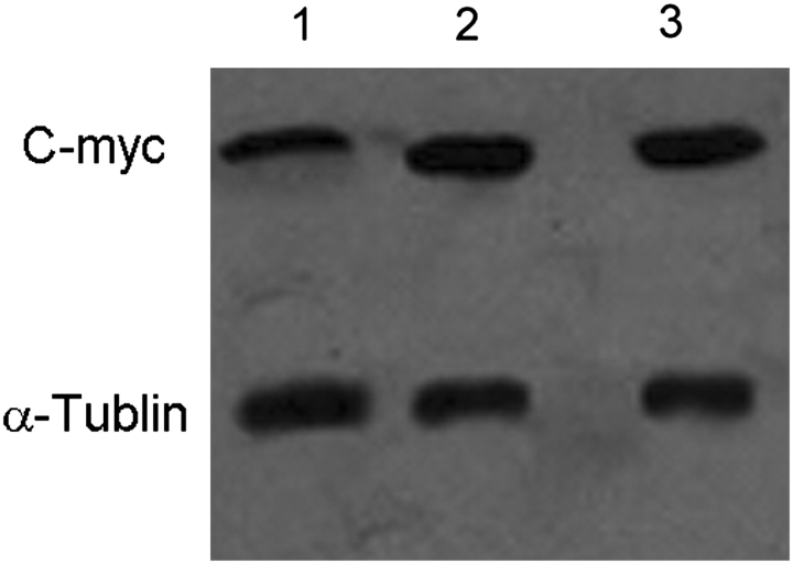 Figure 9