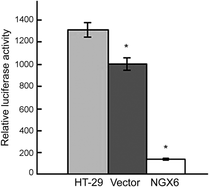 Figure 10