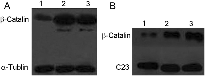 Figure 7