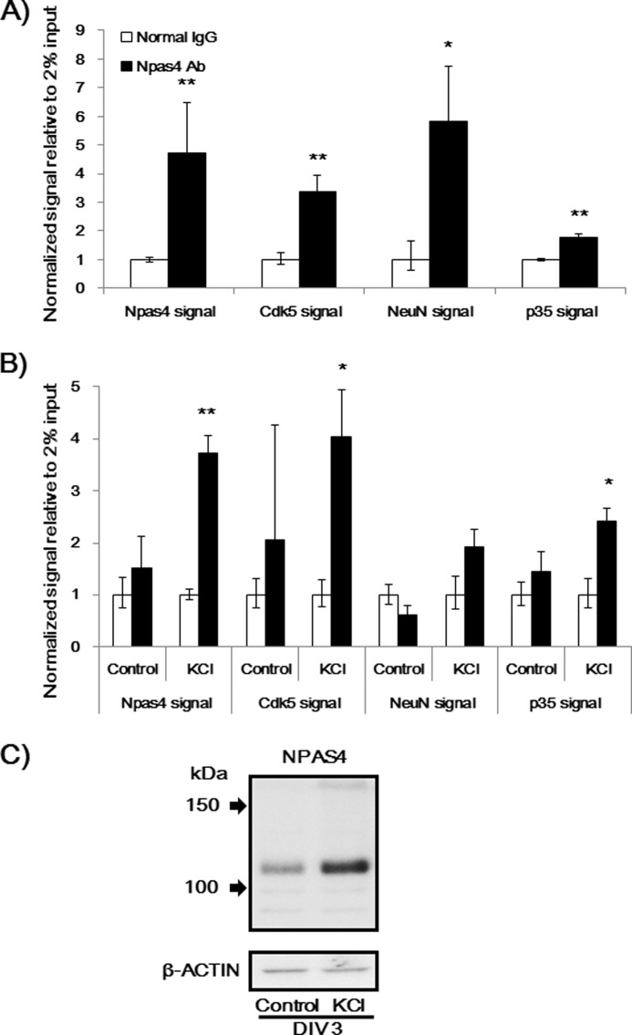 FIGURE 10.