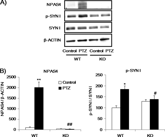 FIGURE 12.