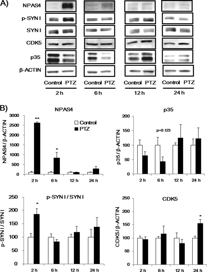 FIGURE 11.