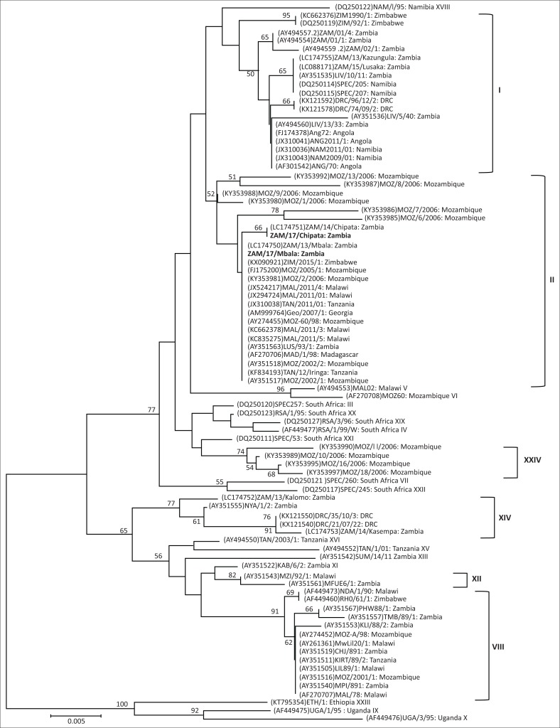 FIGURE 1