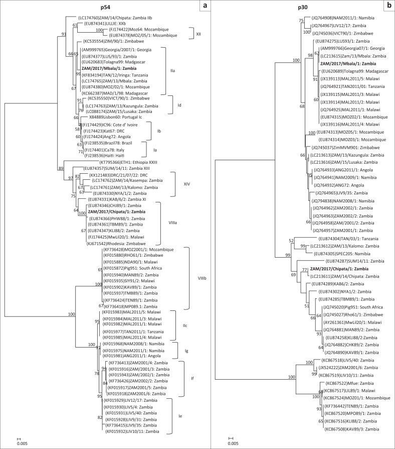 FIGURE 2