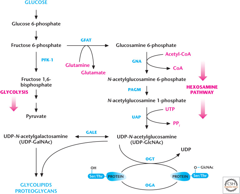 Figure 10.