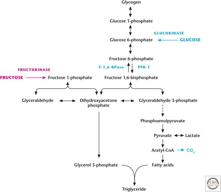 Box 3, Figure 1.