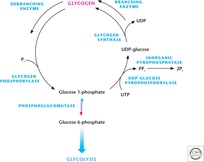 Figure 9.