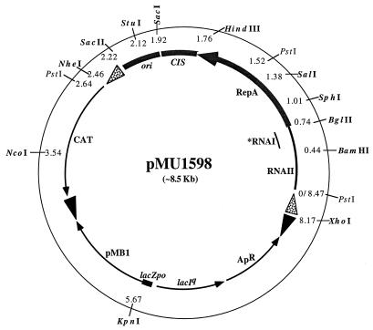 FIG. 1