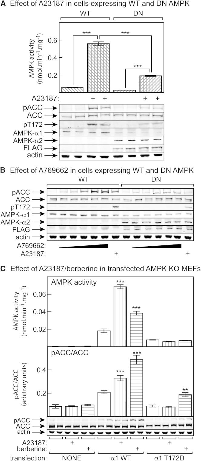 Figure 6