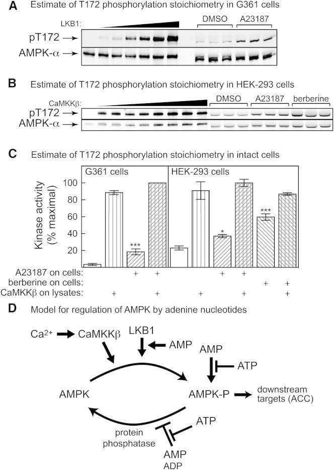 Figure 7