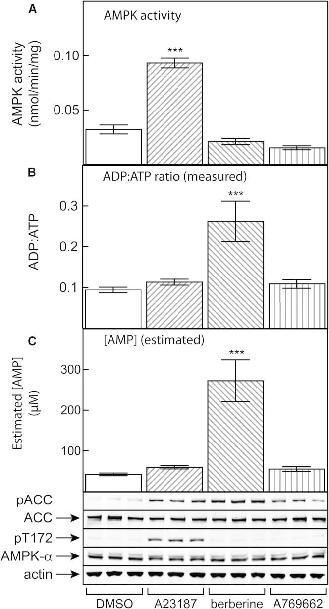 Figure 5