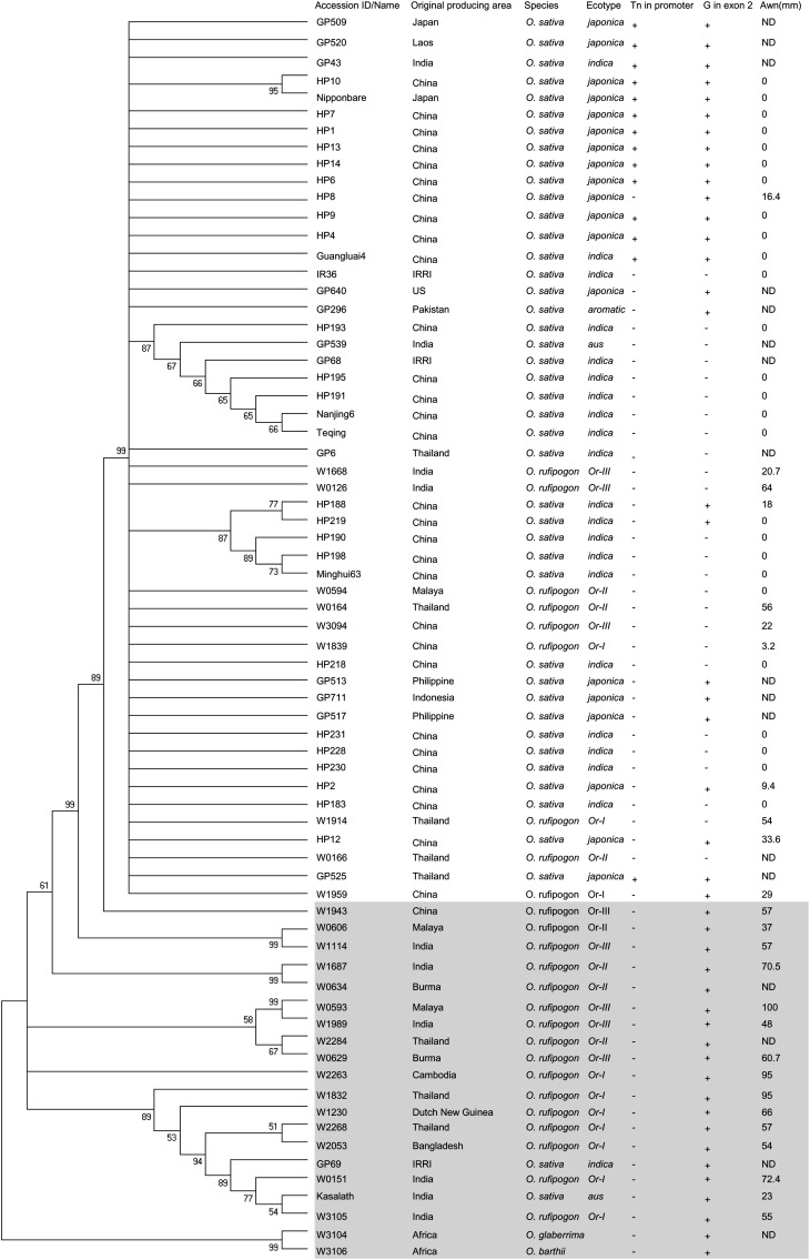 Figure 10.