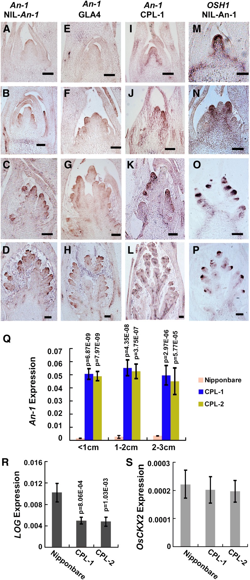 Figure 9.