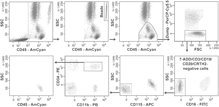 Fig. 1