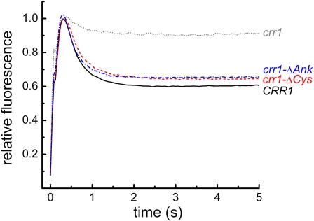 Figure 6.