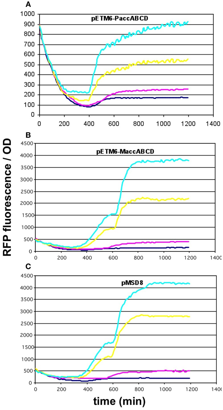 Figure 5