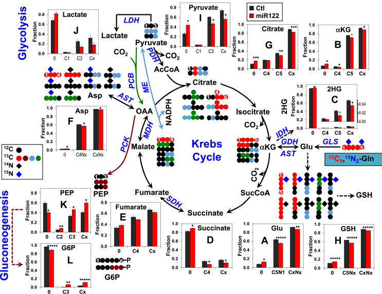 Figure 5