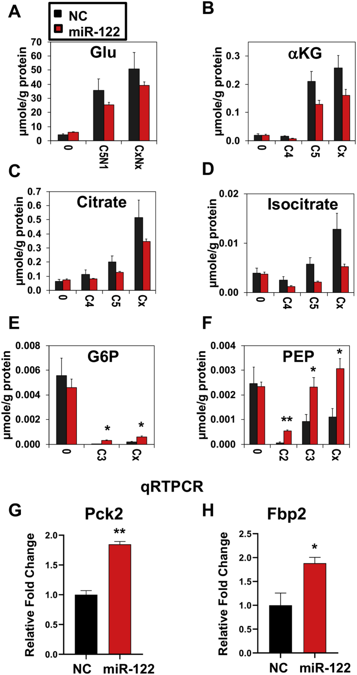 Figure 6