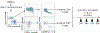 Extended Data Fig. 1