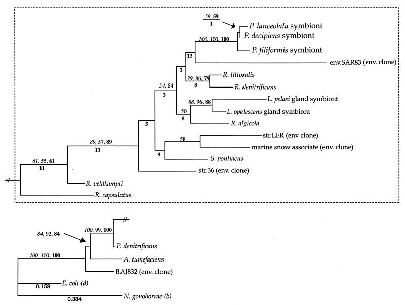 FIG. 1