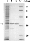 FIG. 2.