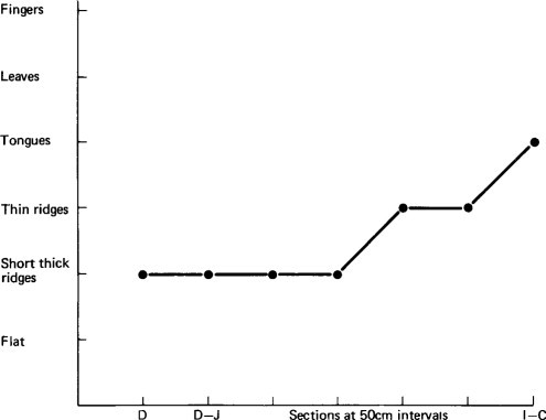 Figure 6.4