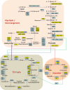 Fig. 2.