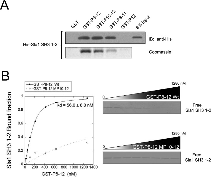 FIGURE 3: