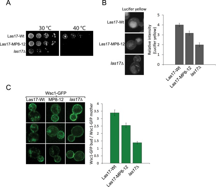 FIGURE 11: