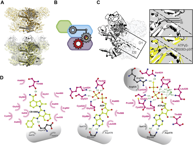 Figure 4