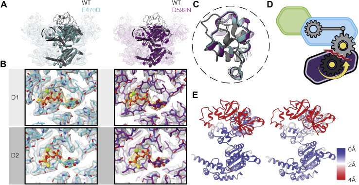 Figure 3