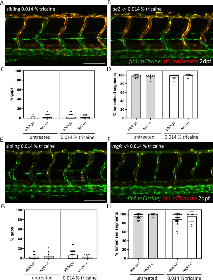 Figure 5—figure supplement 1.