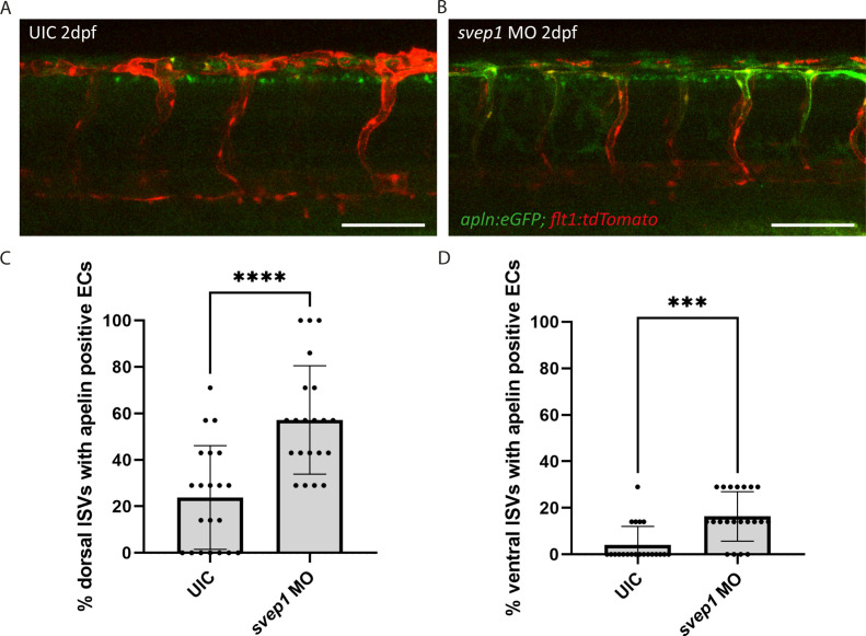 Figure 5—figure supplement 2.