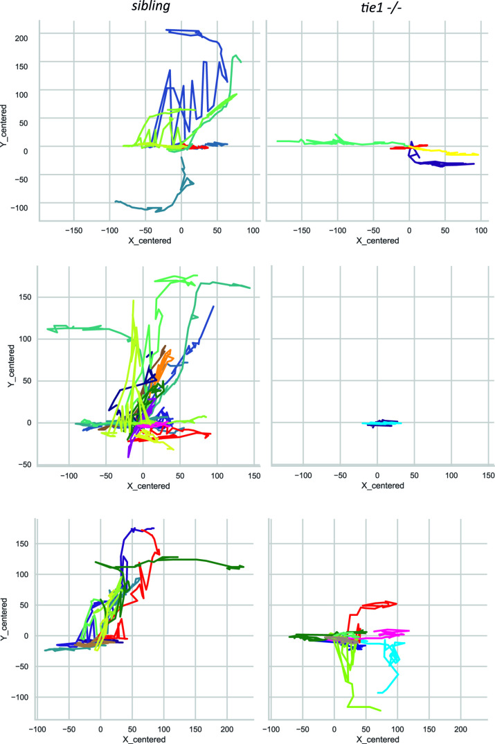 Figure 4—figure supplement 2.