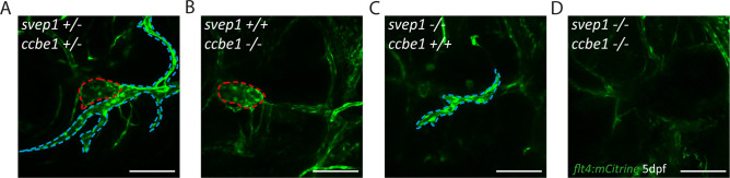 Figure 1—figure supplement 2.