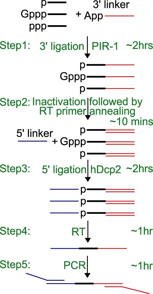 FIGURE 2.